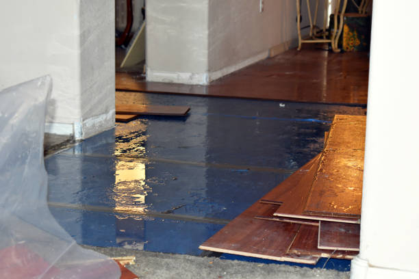Professional Basement Flood Cleanup technician working in Colton, CA